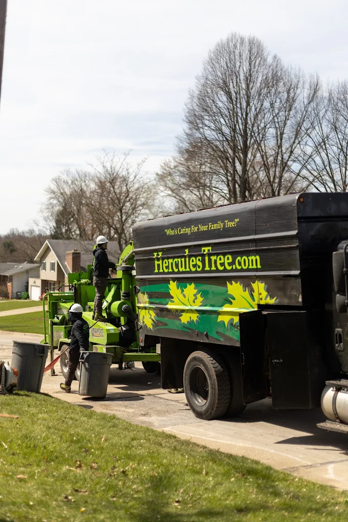 Hercules Tree Service LLC